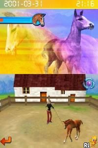 Nintendo DS | Petz Horsez 2 - Usagé