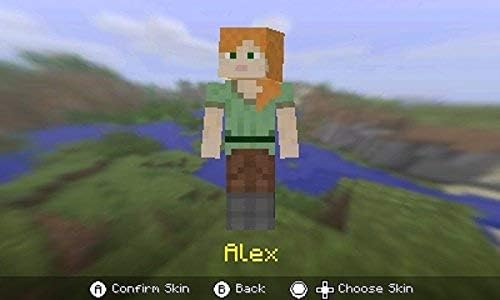Nintendo 3DS | Minecraft - Usagé