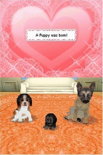 Nintendo DS | Petz Dog Pack - Usagé