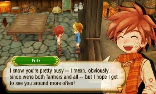 Nintendo 3DS | Story Of Seasons - Usagé