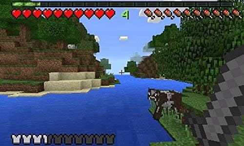 Nintendo 3DS | Minecraft - Usagé