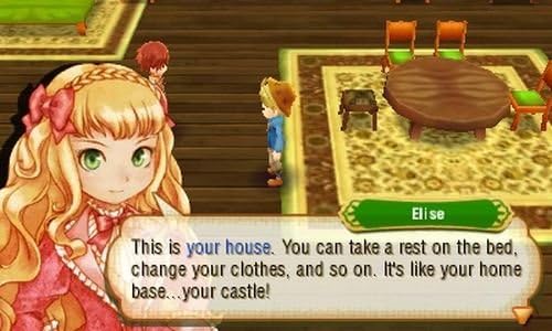 Nintendo 3DS | Story Of Seasons - Usagé