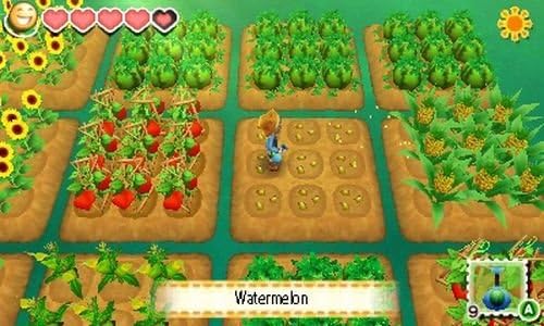 Nintendo 3DS | Story Of Seasons - Usagé