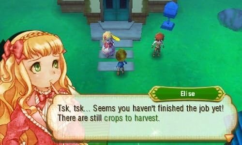 Nintendo 3DS | Story Of Seasons - Usagé