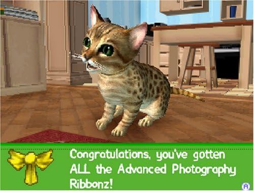 Nintendo DS | Petz Catz 2 - Usagé