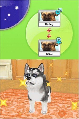 Nintendo DS | Petz Dog Pack - Usagé