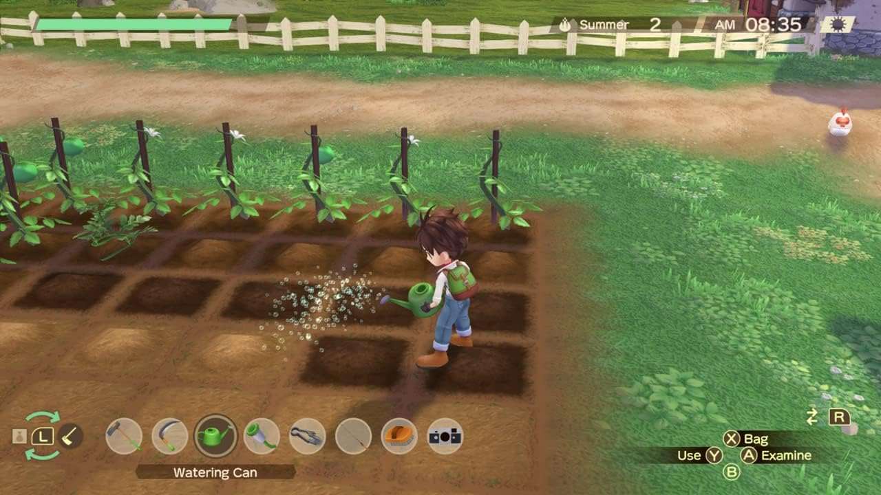 Nintendo Switch | Story Of Seasons : A Wondeful Life