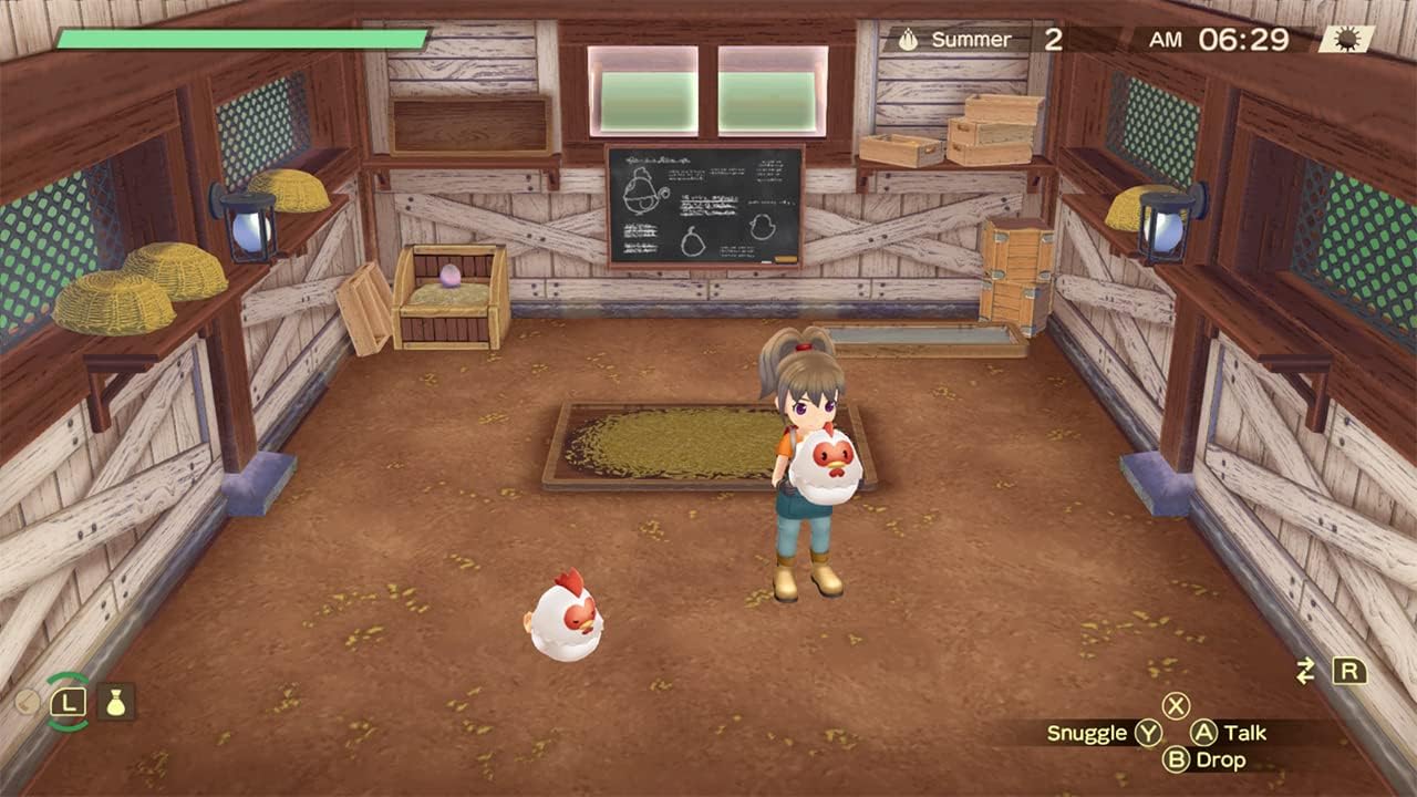Nintendo Switch | Story Of Seasons : A Wondeful Life