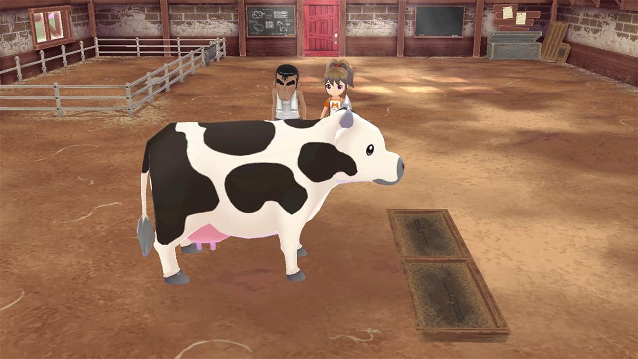 Nintendo Switch | Story Of Seasons : A Wondeful Life