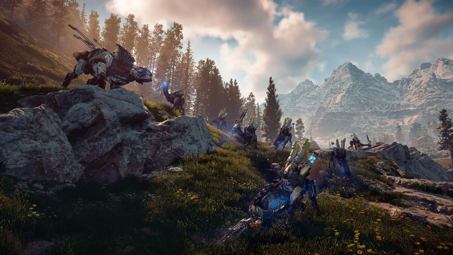 Playstation 4 | Horizon Zero Dawn - Usagé