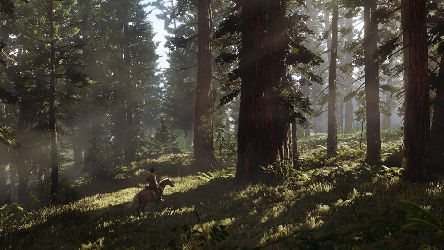 , Red Dead Redemption 2 Ps4