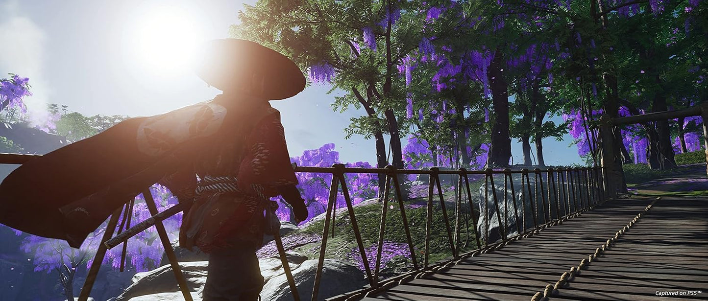Playstation 4 | Ghost Of Tsushima - Usagé