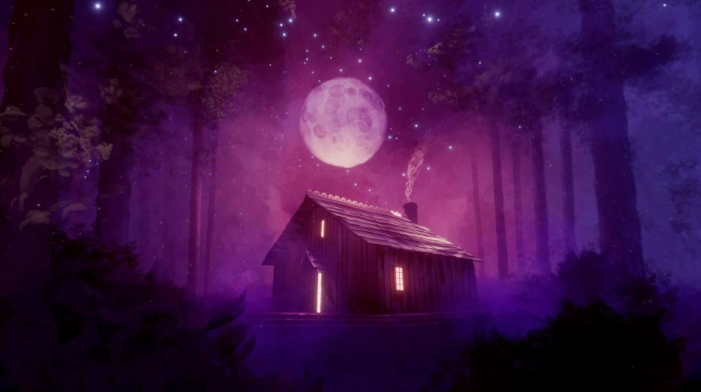 Playstation 4 | Dreams - Usagé