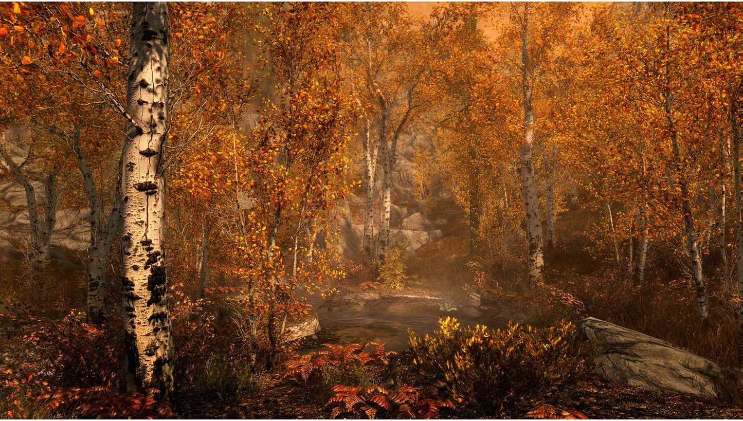 , The Elden Scrolls V Skyrim Ps4 Usagé
