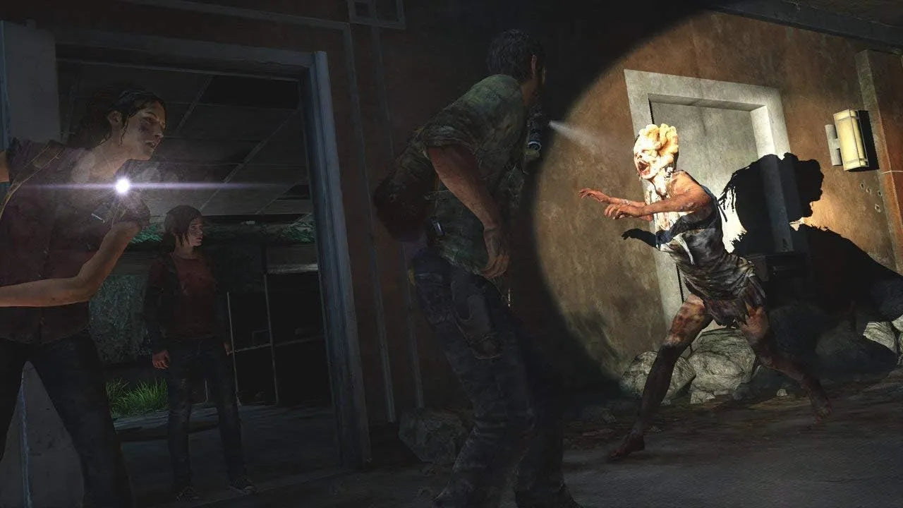 , The Last Of Us Ps4 Usagé