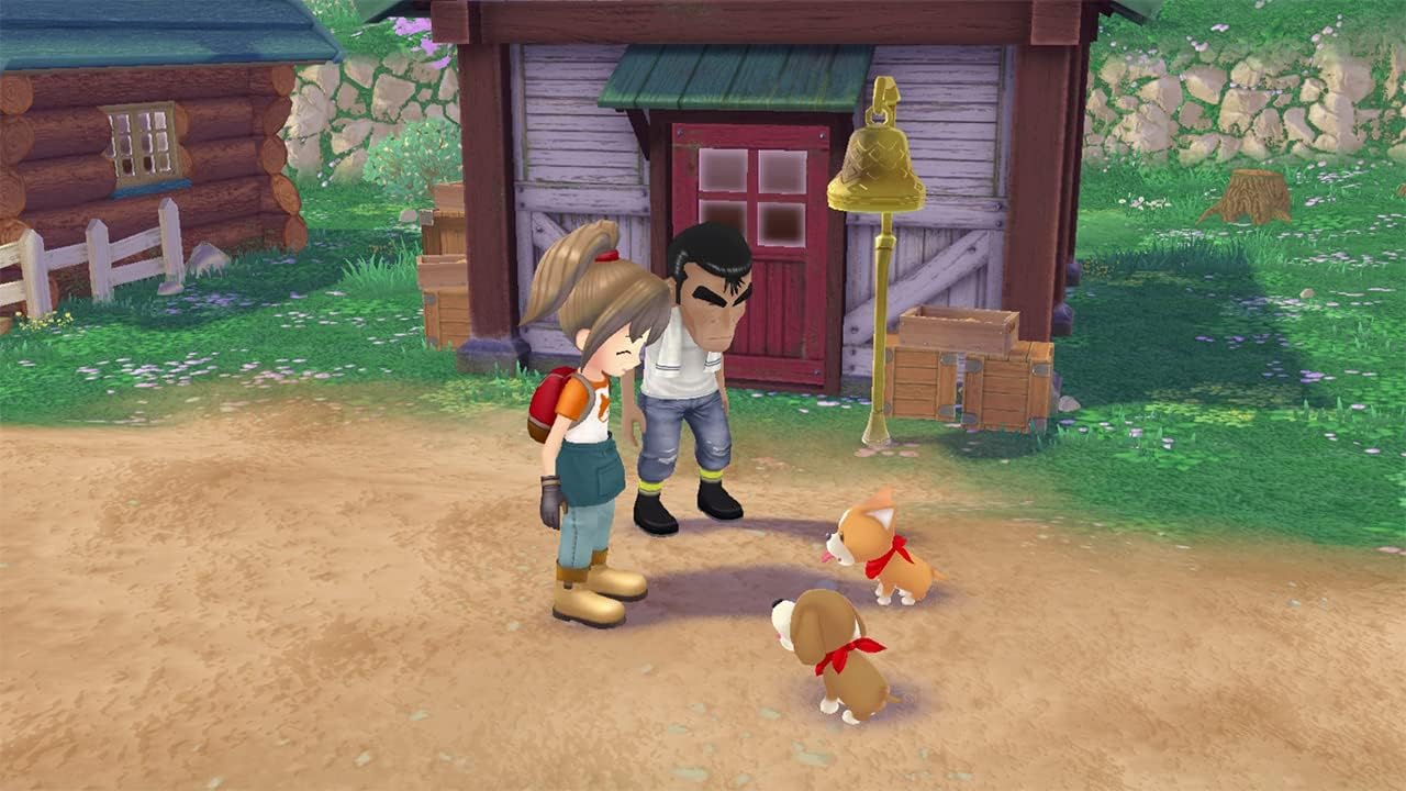 Nintendo Switch | Story Of Seasons : A Wondeful Life