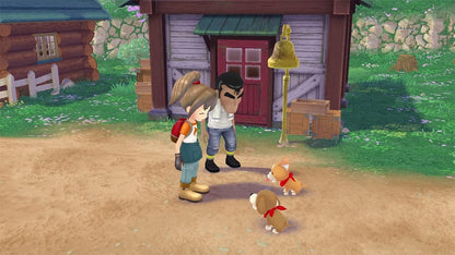 Nintendo Switch | Story Of Seasons : A Wondeful Life