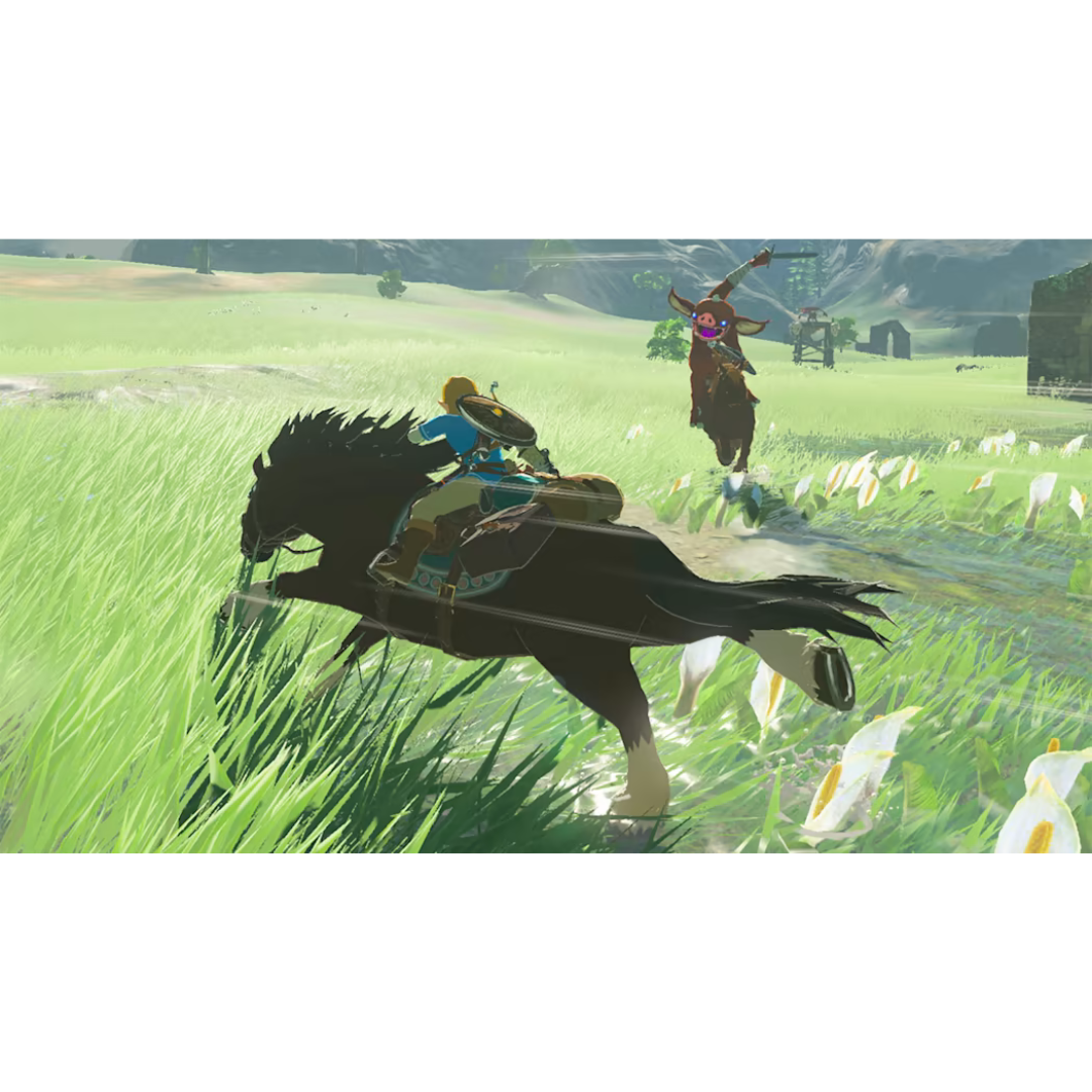 Nintendo Switch | The Legend Of Zelda Breath Of Wild - Usagé