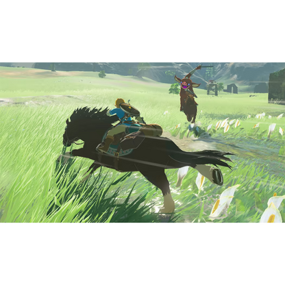 Nintendo Switch | The Legend Of Zelda Breath Of Wild - Usagé