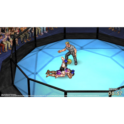 Playstation 4 | Fire Pro Wrestling World - Usagé