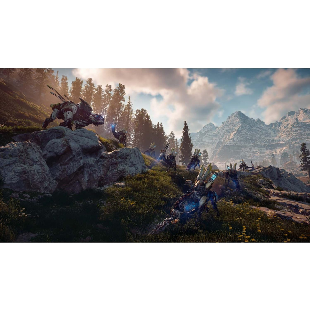 Playstation 4 | Horizon Zero Dawn - Usagé